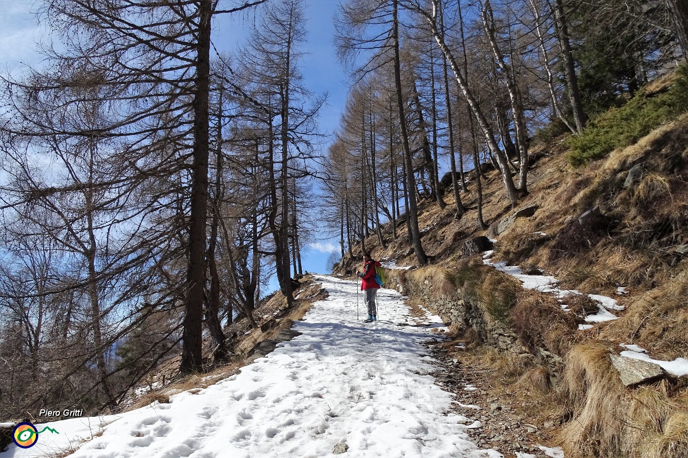 13 Bosco senza neve, strada ancora ricoperta di neve....JPG